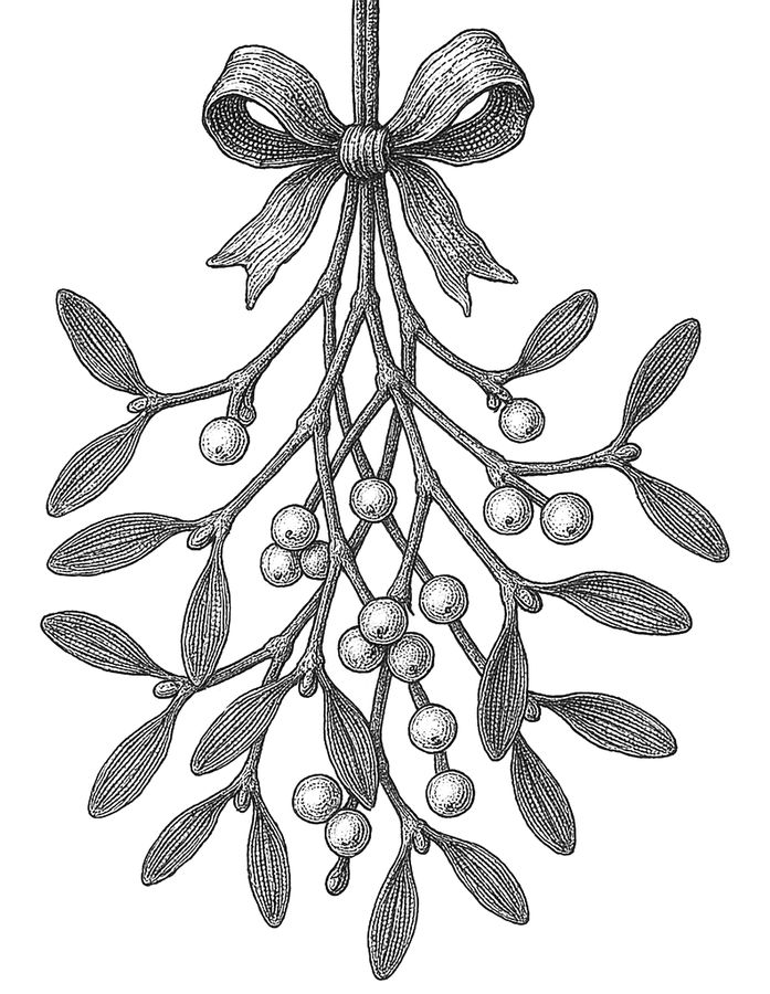 Mistletoe, from The Christmas Codex